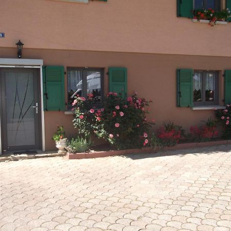 Gite Les Rosiers Traubach-le-Bas Esterno foto